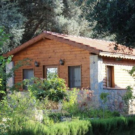 Datca Masal Gibi מראה חיצוני תמונה