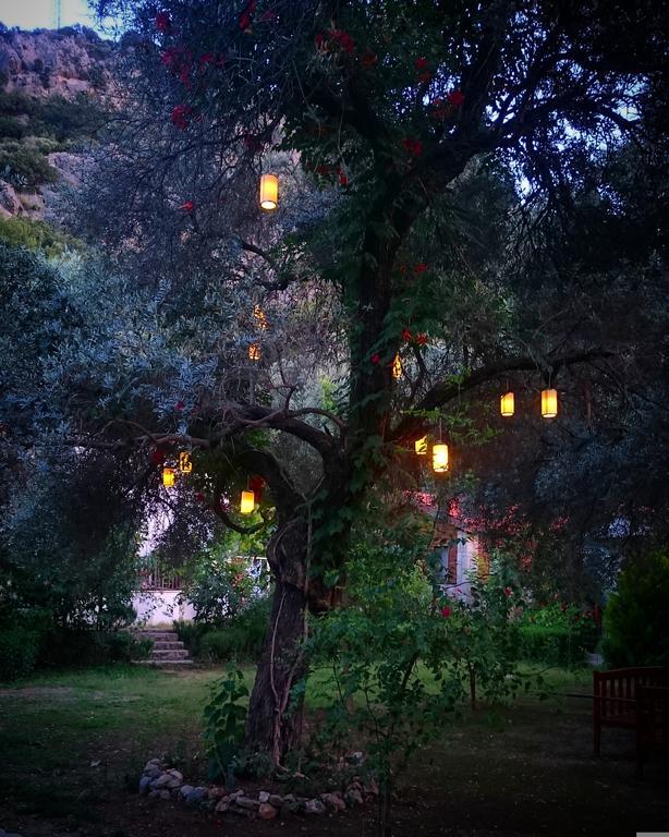 Datca Masal Gibi מראה חיצוני תמונה