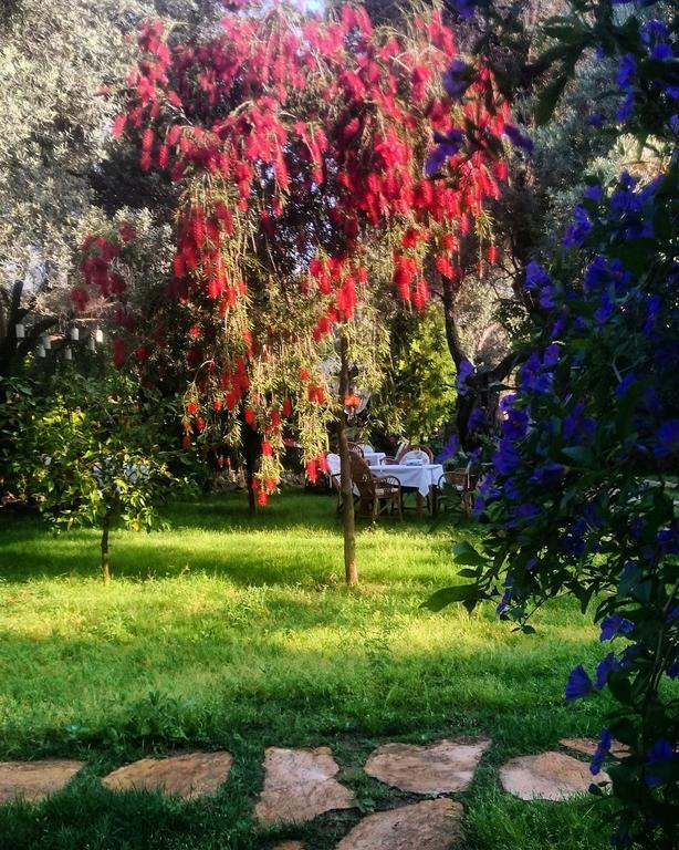 Datca Masal Gibi מראה חיצוני תמונה